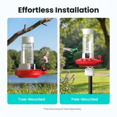 Birdfy Hummingbird Solar Powered Outdoor Feeder - Lifetime AI Camera - Image 8