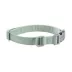 Carhartt® Field Adjustable Dog Collar with Reflective Triple-Needle Stitching image thumbnail 1