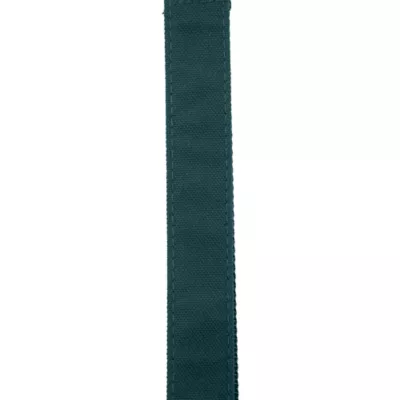 Carhartt® Field Adjustable Nylon Dog Collar with Reflective Triple-Needle Stitching - Image 5