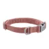 Carhartt® Field Adjustable Nylon Dog Collar with Reflective Triple-Needle Stitching image thumbnail 1