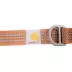 Carhartt® Adjustable Nylon Dog Collar with Reflective Stitching image thumbnail 4