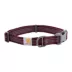 Carhartt® Adjustable Nylon Dog Collar with Reflective Stitching image thumbnail 1