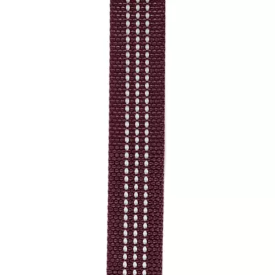 Carhartt® Adjustable Nylon Dog Collar with Reflective Stitching - Image 3