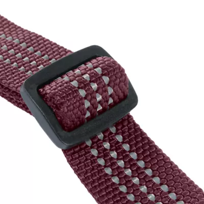 Carhartt® Adjustable Nylon Dog Collar with Reflective Stitching - Image 6