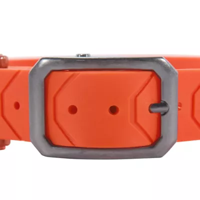 Carhartt® Waterproof Dog Collar with Reflective Stitching - Image 3