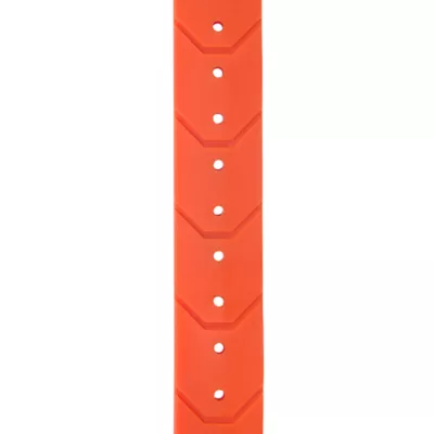 Carhartt® Waterproof Dog Collar with Reflective Stitching - Image 5