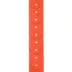 Carhartt® Waterproof Dog Collar with Reflective Stitching image thumbnail 5