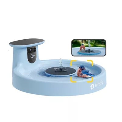 Birdfy Solar Panel Bird Bath with Lifetime AI Camera - Image 1