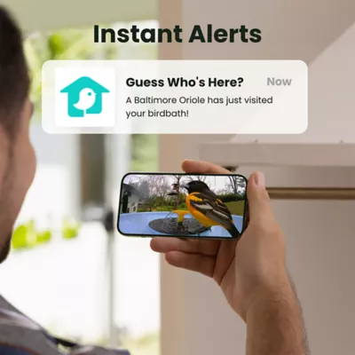 Birdfy Solar Panel Bird Bath with Lifetime AI Camera - Image 2