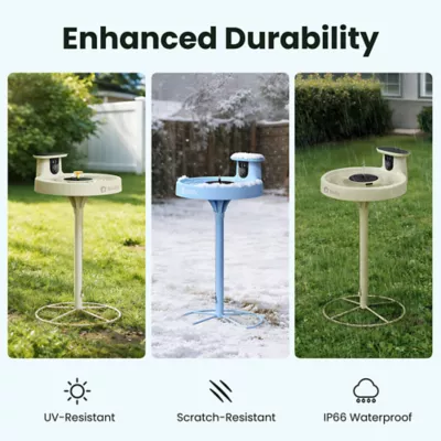 Birdfy Solar Panel Bird Bath with Lifetime AI Camera - Image 5