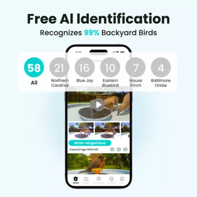 Birdfy Solar Panel Bird Bath with AI Camera - Image 3