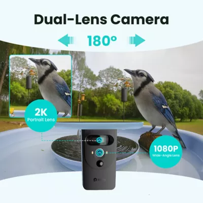 Birdfy Smart Solar Stand Bird Bath with Lifetime AI Camera - Image 4