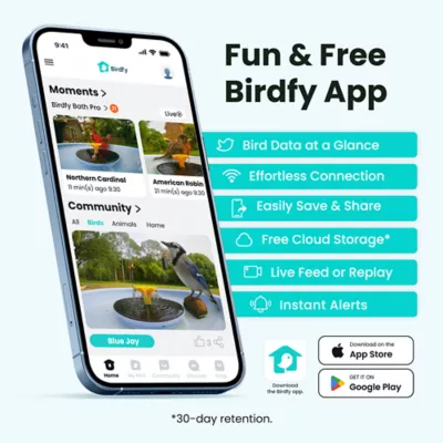 Birdfy Smart Solar Stand Bird Bath with AI Camera - Image 7