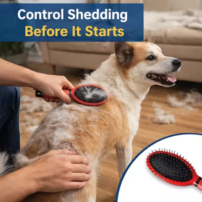 Warren London Dual-Action Pin & Bristle Brush For Dogs W/ Comfort Gel Grip - Image 6
