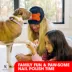 Warren London Distract-A-Hat™ W/ Adhesive Lick Pad, Includes Spread & Cleaning Tool image thumbnail 6