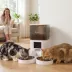 PawHut Automatic Cat Feeder for 2 Cats with HD Camera,2.4G & 5G WiFi Pet Food Dispenser 6L APP Cntrl image thumbnail 2
