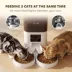 PawHut Automatic Cat Feeder for 2 Cats with HD Camera,2.4G & 5G WiFi Pet Food Dispenser 6L APP Cntrl image thumbnail 6