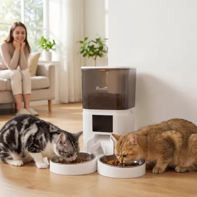 PawHut Automatic Cat Feeder for 2 Cats, 2.4G WiFi Pet Food Dispenser 6L APP Contrl - Image 2