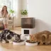 PawHut Automatic Cat Feeder for 2 Cats, 2.4G WiFi Pet Food Dispenser 6L APP Contrl image thumbnail 2