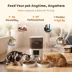 PawHut Automatic Cat Feeder for 2 Cats, 2.4G WiFi Pet Food Dispenser 6L APP Contrl image thumbnail 4