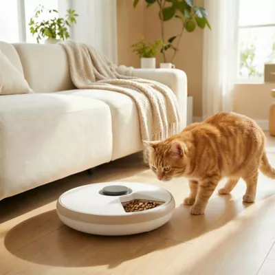 PawHut Automatic Feeder for Dry/Wet Food, Timed Cat/Dog Food Dispenser with 6 Trays, 1 Ice pack - Image 2