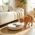 PawHut Automatic Feeder for Dry/Wet Food, Timed Cat/Dog Food Dispenser with 6 Trays, 1 Ice pack image thumbnail 2