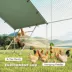 PawHut Large Metal Chicken Run with Waterproof & UV-Resistant Cover, Feeding Door, for 24-30 Chickns image thumbnail 4