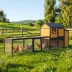 PawHut Large Chicken Coop, 134"L Wooden Chicken House with Run, Nesting Box, Slide-Out Tray image thumbnail 2
