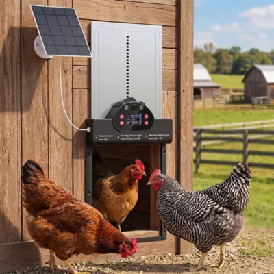 PawHut 2K HD AI Camera Automatic Chicken Coop Door with APP, WiFi Solar Powered with 5200mAh Battery - Image 2