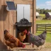 PawHut 2K HD AI Camera Automatic Chicken Coop Door with APP, WiFi Solar Powered with 5200mAh Battery image thumbnail 2