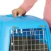 MidWest homes for Pets Spree™ Pet Carrier W/ Single Wire Door & Handle- Blue image thumbnail 4