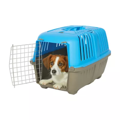 MidWest homes for Pets Spree™ Pet Carrier W/ Single Wire Door & Handle- Blue - Image 1