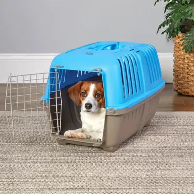 MidWest homes for Pets Spree™ Pet Carrier W/ Single Wire Door & Handle- Blue - Image 2