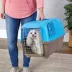 MidWest homes for Pets Spree™ Pet Carrier W/ Single Wire Door & Handle- Blue image thumbnail 3