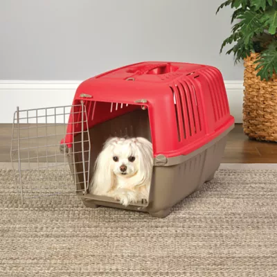 MidWest homes for Pets Spree™ Pet Carrier W/ Single Wire Door & Handle- Red - Image 2