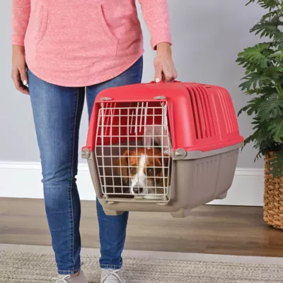 MidWest homes for Pets Spree™ Pet Carrier W/ Single Wire Door & Handle- Red - Image 3