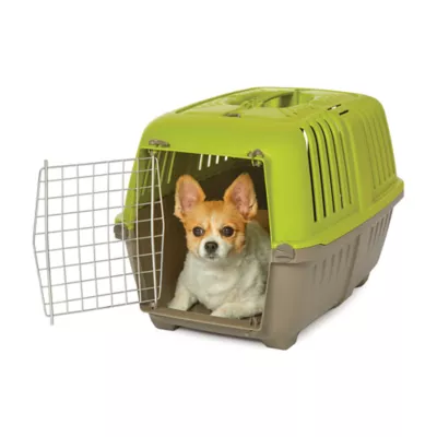 MidWest homes for Pets Spree™ Pet Carrier W/ Single Wire Door & Handle- Green - Image 1