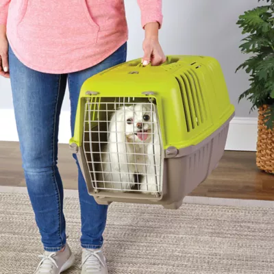 MidWest homes for Pets Spree™ Pet Carrier W/ Single Wire Door & Handle- Green - Image 2