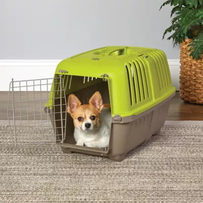 MidWest homes for Pets Spree™ Pet Carrier W/ Single Wire Door & Handle- Green - Image 3