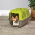 MidWest homes for Pets Spree™ Pet Carrier W/ Single Wire Door & Handle- Green image thumbnail 3