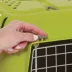 MidWest homes for Pets Spree™ Pet Carrier W/ Single Wire Door & Handle- Green image thumbnail 7
