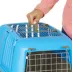 MidWest homes for Pets Spree™ Pet Carrier W/ Two Wire Doors & Handle, 24 Inch image thumbnail 3