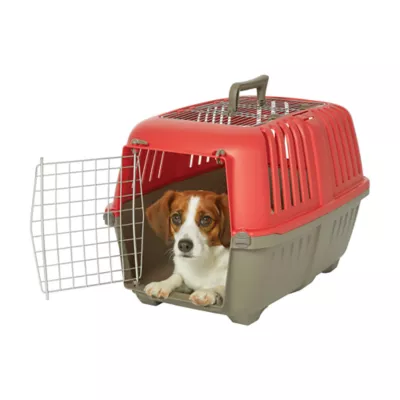MidWest homes for Pets Spree™ Pet Carrier W/ Two Wire Doors & Handle, 24 Inch - Image 1