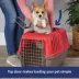 MidWest homes for Pets Spree™ Pet Carrier W/ Two Wire Doors & Handle, 24 Inch image thumbnail 3