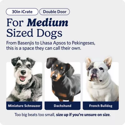 MidWest Homes for Pets Double-Door Wire iCrate, Collapsible, Removable Plastic Pan Included - Image 2