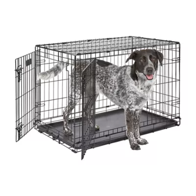 MidWest Homes for Pets Double-Door Wire iCrate, Collapsible, Removable Plastic Pan Included - Image 1