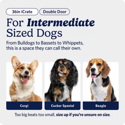 MidWest Homes for Pets Double-Door Wire iCrate, Collapsible, Removable Plastic Pan Included - Image 2