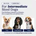 MidWest Homes for Pets Double-Door Wire iCrate, Collapsible, Removable Plastic Pan Included image thumbnail 2