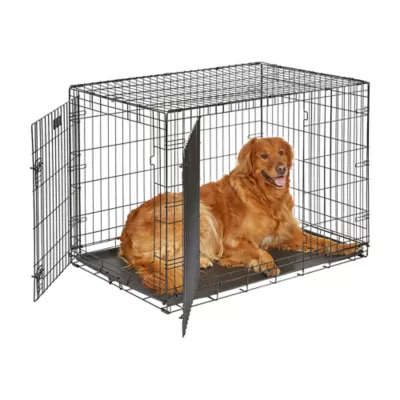 MidWest Homes for Pets Double-Door Wire iCrate, Collapsible, Removable Plastic Pan Included - Image 1