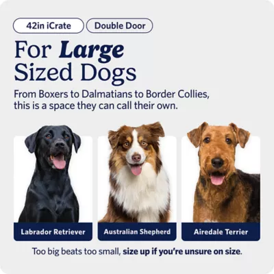 MidWest Homes for Pets Double-Door Wire iCrate, Collapsible, Removable Plastic Pan Included - Image 2